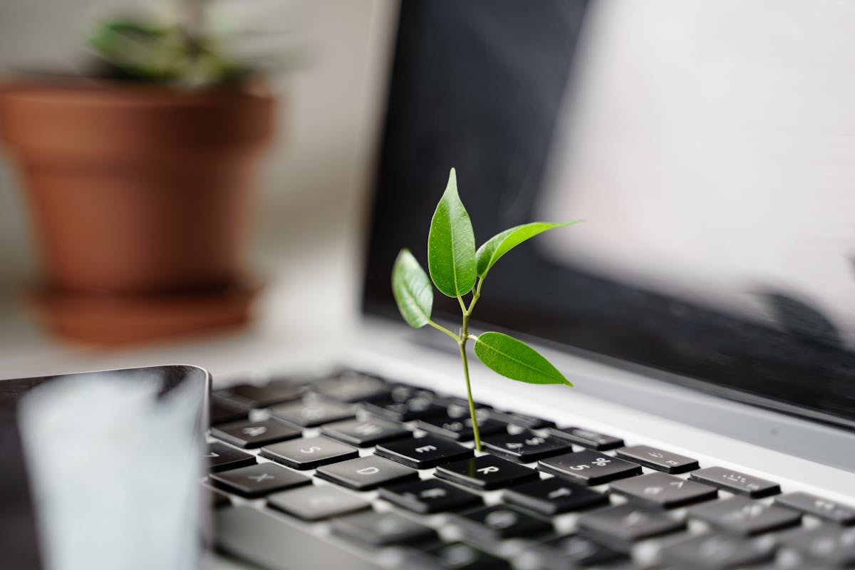 Bilde av en laptop hvor en plante vokser ut av tastaturet, bærekraft i fokus